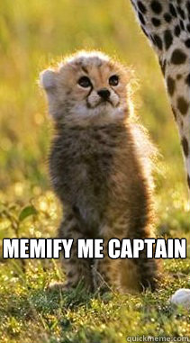 Memify me captain - Memify me captain  Tiger Baby
