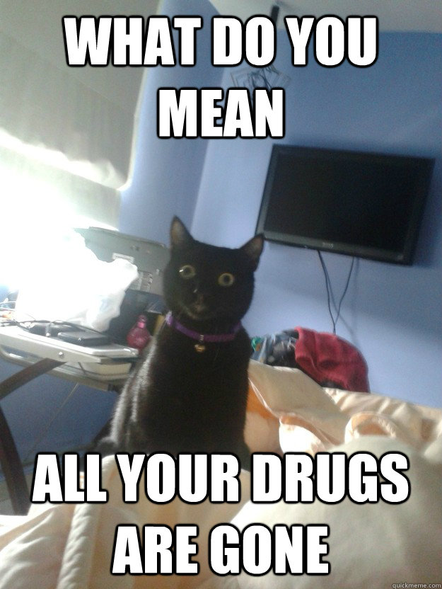 what do you mean all your drugs are gone  overly attached cat