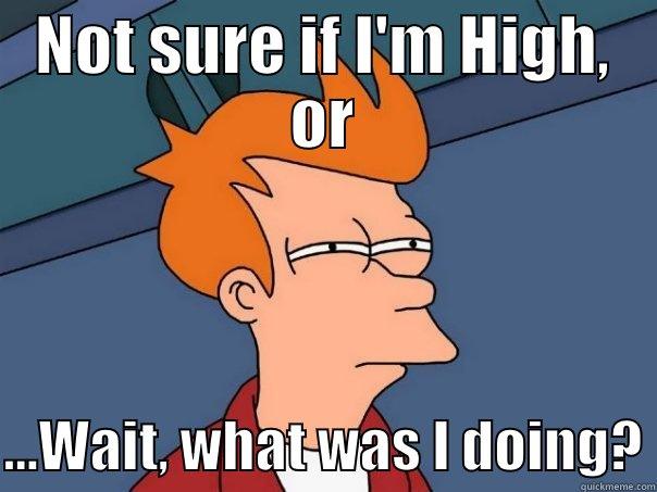 NOT SURE IF I'M HIGH, OR  ...WAIT, WHAT WAS I DOING? Futurama Fry