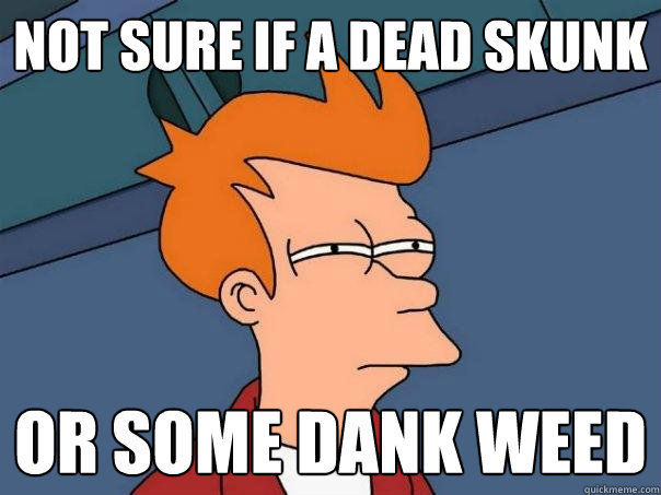 Not sure if a dead skunk Or some dank weed  Futurama Fry