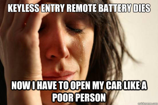 Keyless Entry Remote battery dies Now I have to open my car like a poor person - Keyless Entry Remote battery dies Now I have to open my car like a poor person  First World Problems