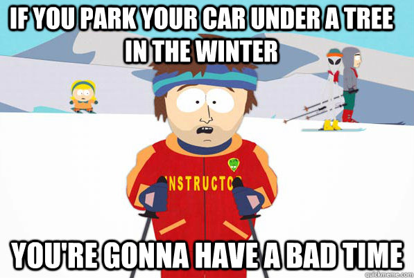 If you park your car under a tree in the winter You're gonna have a bad time  