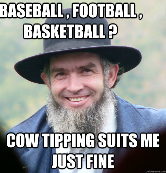 baseball , football , basketball ? cow tipping suits me just fine  - baseball , football , basketball ? cow tipping suits me just fine   Good Guy Amish