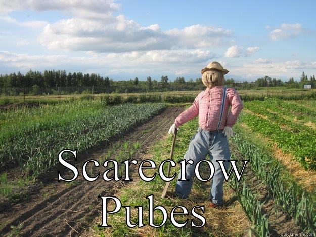  SCARECROW PUBES Scarecrow