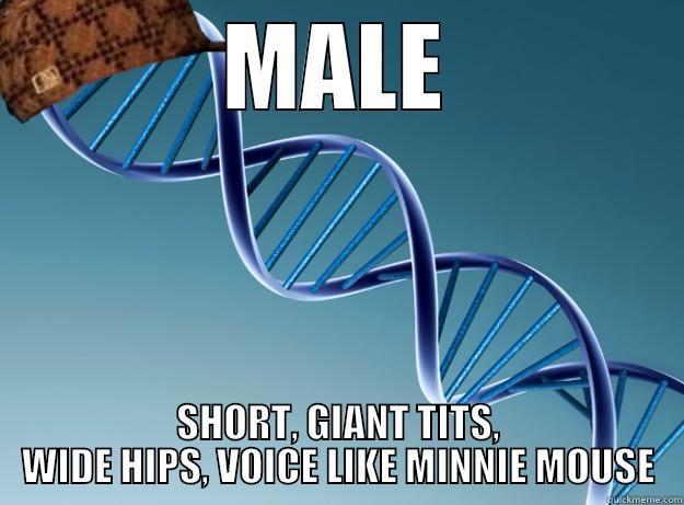MALE SHORT, GIANT TITS, WIDE HIPS, VOICE LIKE MINNIE MOUSE Scumbag Genetics