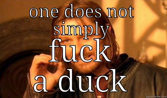 ONE DOES NOT SIMPLY FUCK A DUCK Boromir