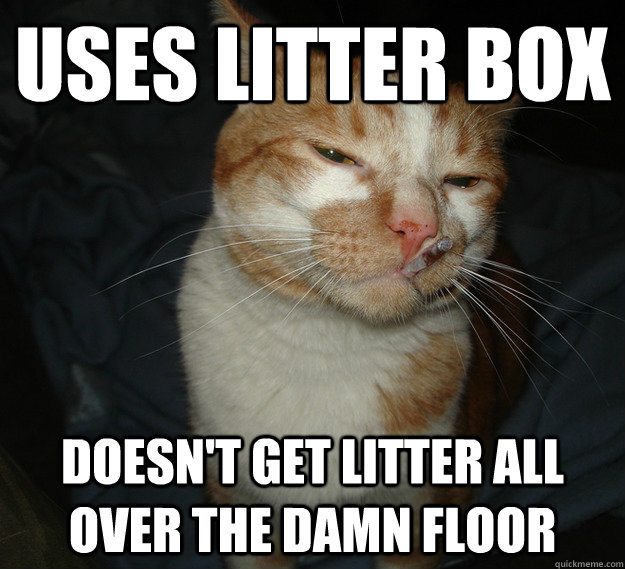 uses litter box doesn't get litter all over the damn floor  Cool Cat Craig