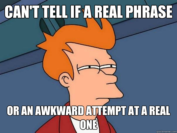 can't tell if a real phrase or an awkward attempt at a real one  Futurama Fry