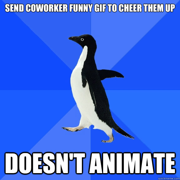 send coworker funny gif to cheer them up doesn't animate - send coworker funny gif to cheer them up doesn't animate  Socially Awkward Penguin