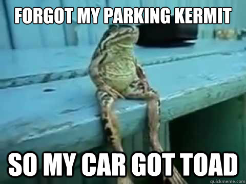 Forgot my parking kermit So my car got toad - Forgot my parking kermit So my car got toad  SITTING FROG