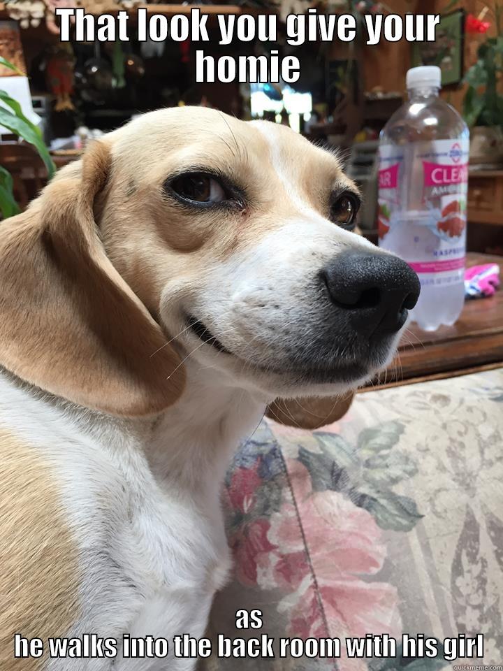 THAT LOOK YOU GIVE YOUR HOMIE AS HE WALKS INTO THE BACK ROOM WITH HIS GIRL Misc