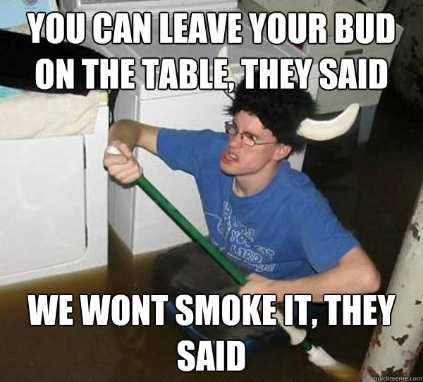 You can leave your bud on the table, they said we wont smoke it, they said  They said