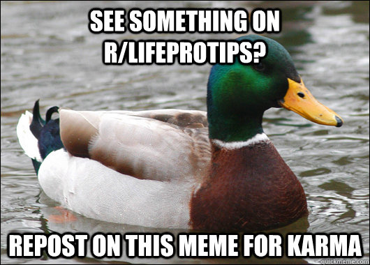 See Something on r/Lifeprotips? REPOST ON THIS MEME FOR KARMA  Actual Advice Mallard