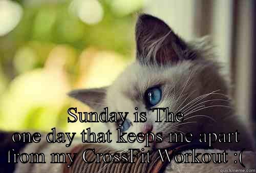  SUNDAY IS THE ONE DAY THAT KEEPS ME APART FROM MY CROSSFIT WORKOUT :( First World Problems Cat