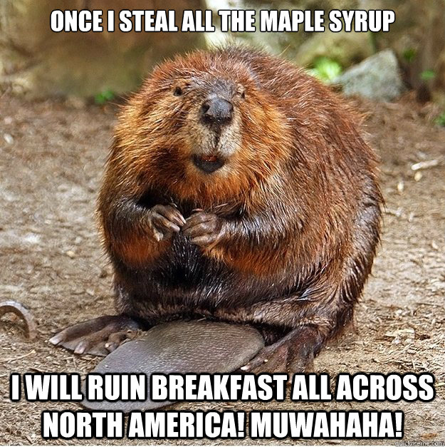 Once I steal all the maple syrup I will ruin breakfast all across North America! muwahaha!  