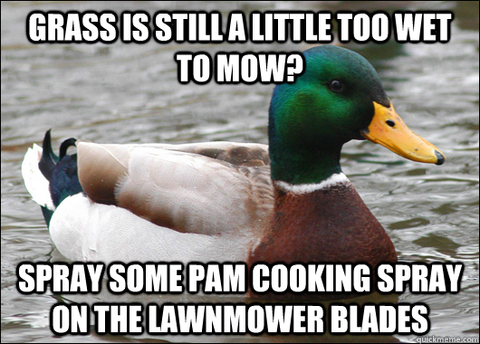 grass is still a little too wet to mow? spray some pam cooking spray on the lawnmower blades - grass is still a little too wet to mow? spray some pam cooking spray on the lawnmower blades  Actual Advice Mallard