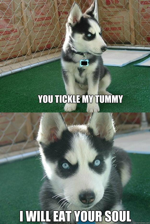 You tickle my tummy I will eat your soul  Insanity puppy