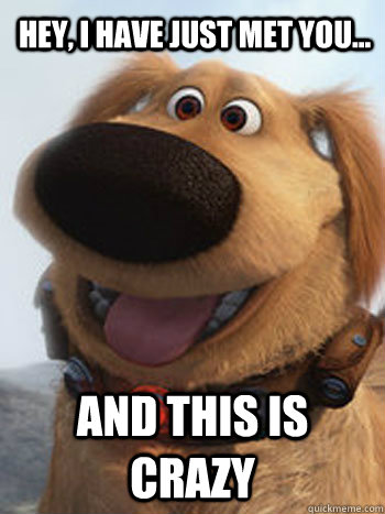 Hey, I have just met you... And this is crazy  