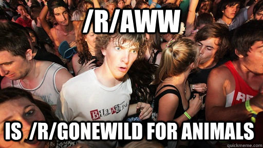 /r/aww is  /r/gonewild for animals  Sudden Clarity Clarence