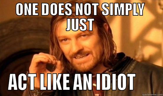 ONE DOES NOT SIMPLY JUST ACT LIKE AN IDIOT      Boromir