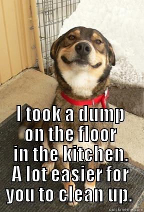  I TOOK A DUMP ON THE FLOOR IN THE KITCHEN. A LOT EASIER FOR YOU TO CLEAN UP.  Good Dog Greg