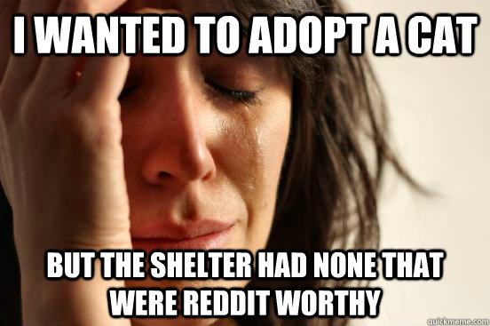 i wanted to adopt a cat but the shelter had none that were reddit worthy  First World Problems