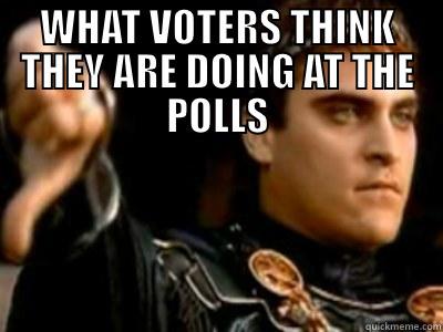 WHAT VOTERS THINK THEY ARE DOING AT THE POLLS  Downvoting Roman