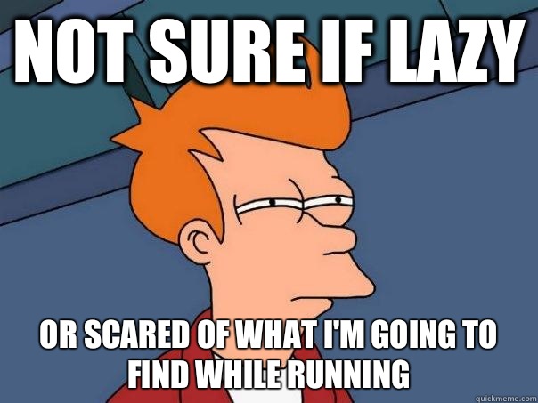 Not sure if lazy Or scared of what I'm going to find while running  Futurama Fry