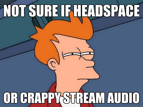 not sure if headspace or crappy stream audio  Futurama Fry