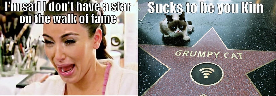 Kim and Grumpy Cat  -   Misc