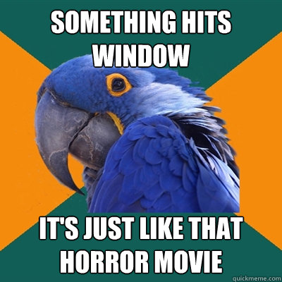 something hits window It's just like that horror movie  Paranoid Parrot
