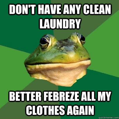 don't have any clean laundry better febreze all my clothes again  Foul Bachelor Frog