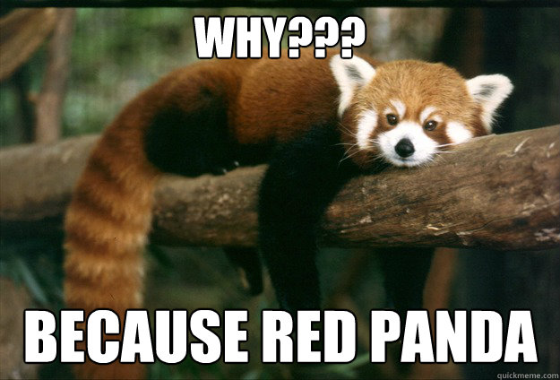 Why??? Because Red Panda - Why??? Because Red Panda  Red panda