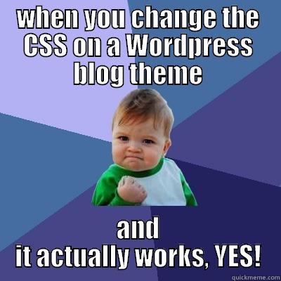 WHEN YOU CHANGE THE CSS ON A WORDPRESS BLOG THEME AND IT ACTUALLY WORKS, YES! Success Kid