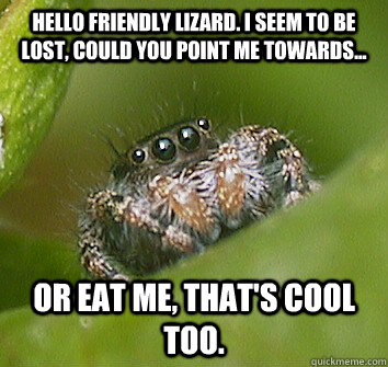 Hello friendly lizard. I seem to be lost, could you point me towards... Or eat me, that's cool too. - Hello friendly lizard. I seem to be lost, could you point me towards... Or eat me, that's cool too.  Misunderstood Spider