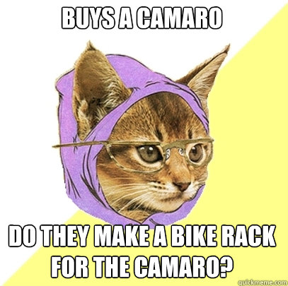 buys a camaro do they make a bike rack for the camaro?  Hipster Kitty