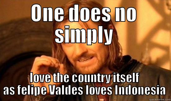 ONE DOES NO SIMPLY LOVE THE COUNTRY ITSELF AS FELIPE VALDES LOVES INDONESIA Boromir