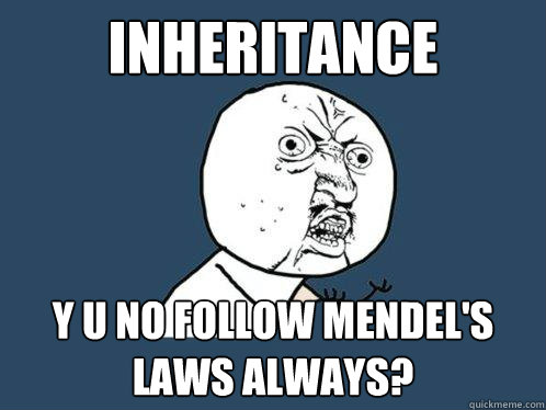 Inheritance  Y u no follow Mendel's Laws always?  Y U No
