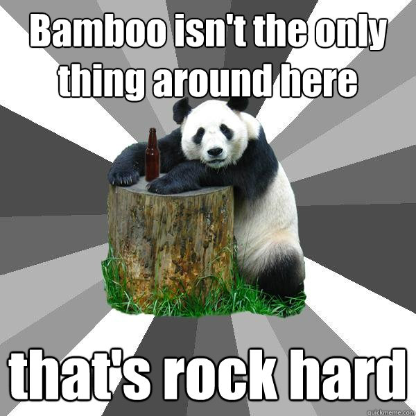 Bamboo isn't the only thing around here that's rock hard  Pickup-Line Panda