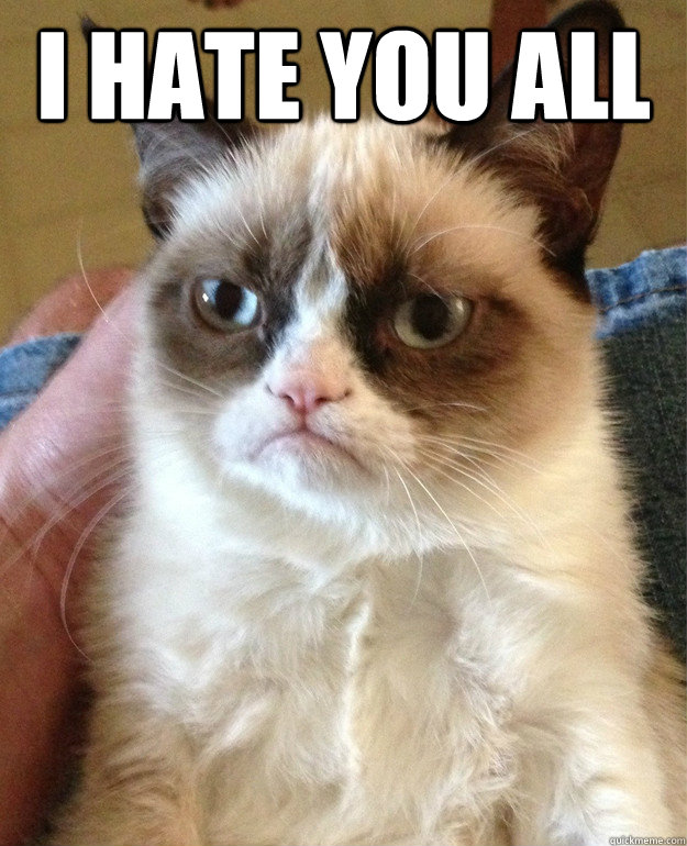 I hate you All   Grumpy Cat