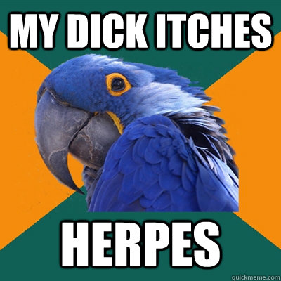 My dick itches herpes  Paranoid Parrot