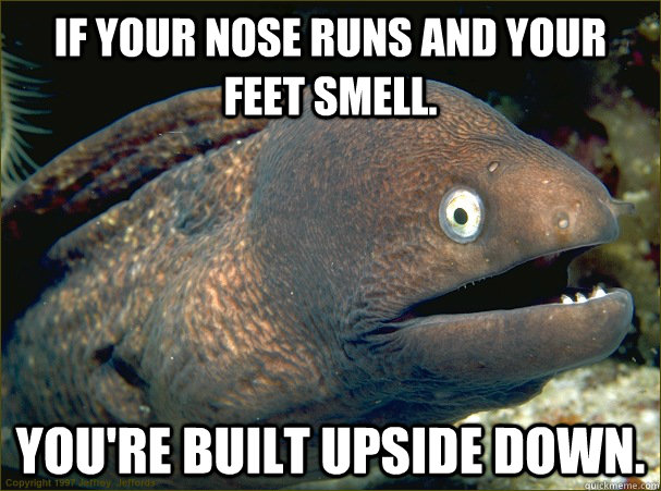 If your nose runs and your feet smell. you're built upside down. - If your nose runs and your feet smell. you're built upside down.  Bad Joke Eel