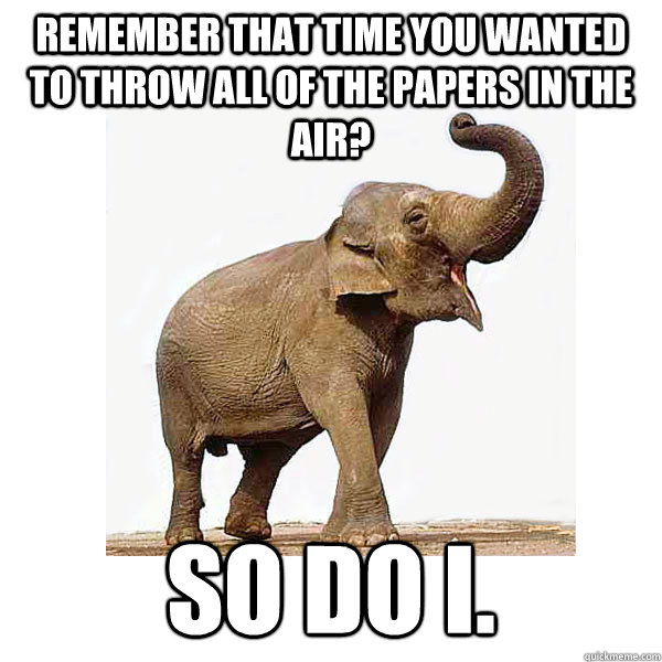Remember that time you wanted to throw all of the papers in the air? So do I. - Remember that time you wanted to throw all of the papers in the air? So do I.  Memory Elephant