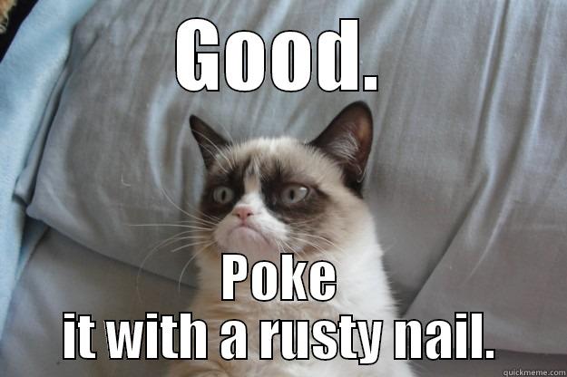 GOOD. POKE IT WITH A RUSTY NAIL. Grumpy Cat