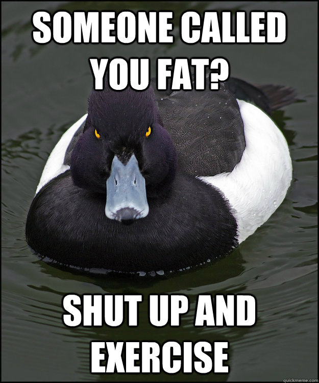 Someone called you fat? Shut up and exercise  Angry Advice Duck