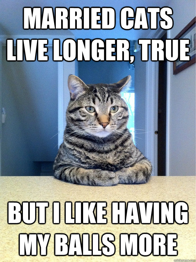 married cats live longer, true but i like having my balls more - married cats live longer, true but i like having my balls more  Chris Hansen Cat