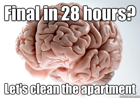 Final in 28 hours? Let's clean the apartment   Scumbag Brain