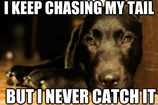 I keep chasing my tail BUT I NEVER CATCH IT - I keep chasing my tail BUT I NEVER CATCH IT  First World Dog problems