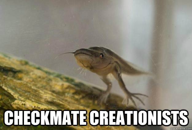  checkmate creationists -  checkmate creationists  Evolution Fish