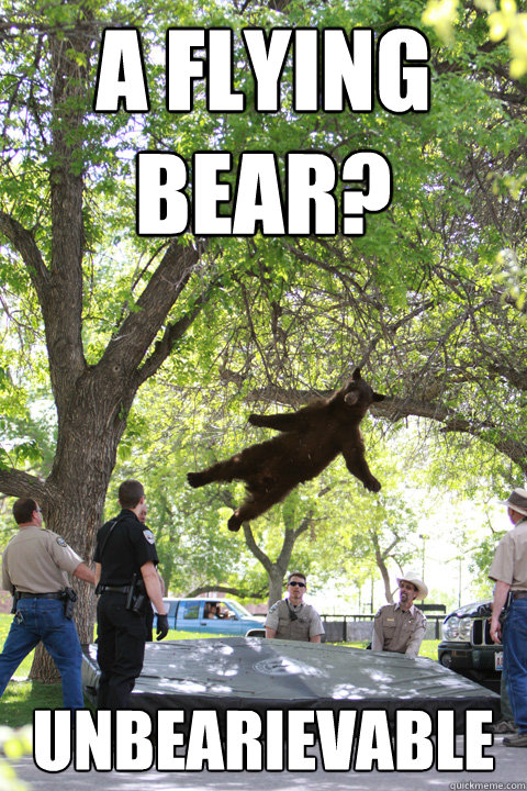 A flying bear? Unbearievable  Boulder Bear